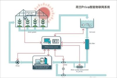 浙江“新田铺”智慧农业蔬果工厂正式投产 物联网技术重塑现代农业