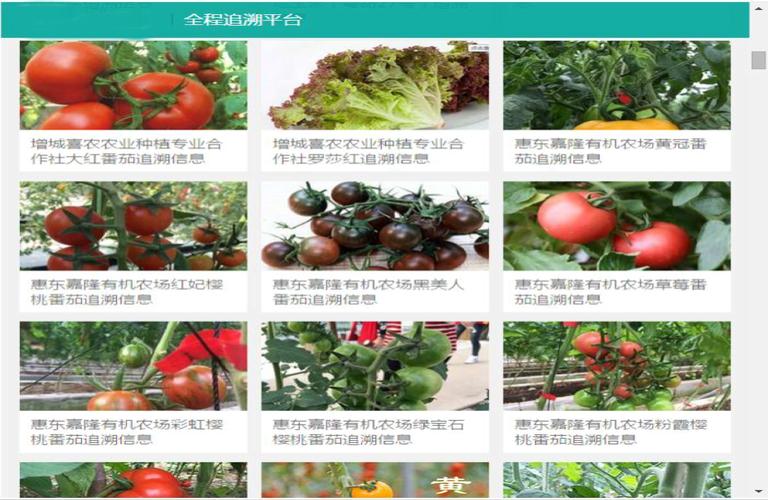 宇通物联网技术研发 从车联网到智慧交通的生态构建